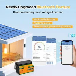 Акумулятор Eco-Worthy LiFePO4 24V (25.6V/100Ah/2560Wh) (Eco-Worthy-251002) [164644] - мініатюра 5