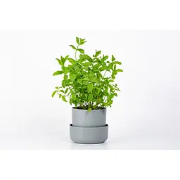 Вазон із піддоном Plastia Tolita, 1,3 л, сірий (1707281620R) - мініатюра 8