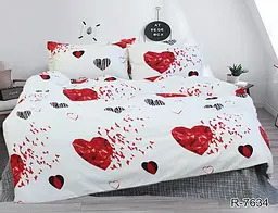 Комплект постільної білизни з компаньйоном (R7634) Євро TAG tekstil pbe0036739 - мініатюра 1