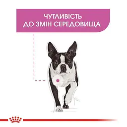 Сухий корм для собак малих порід, чутливих до змін середовища Royal Canin Mini Relax Care, 1 кг (1224010) - мініатюра 4