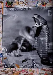 Peter Beard - мініатюра 8