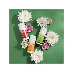 Дезодорант Weleda Sea Buckthorn 24h Deo Roll-On 50 мл (4001638502399) - мініатюра 3