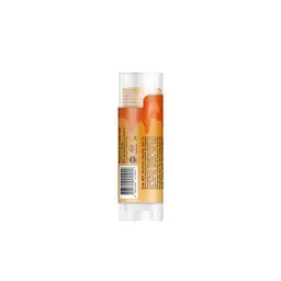Бальзам для губ Balme Mango Sorbet 5 г (289836) - мініатюра 3