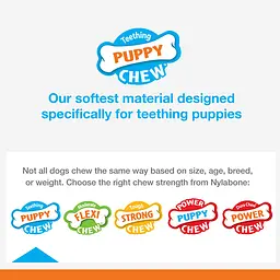 Іграшка для жування Nylabone Puppy Chew Toys для цуценят до 11 кг - мініатюра 4