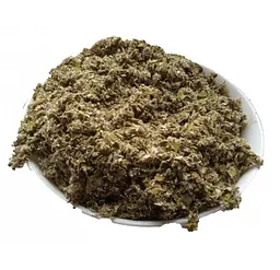 Мати-й-мачуха Листя Підбіл Мачушник Білпух Tussilago farfara