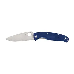 Ніж Spyderco Resilience FRN S35VN (C142PBL)