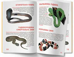 Велика книжка. Отруйні змії - мініатюра 4