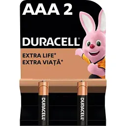 Батарейки DURACELL Basic 77133 AAA1.5V LR03 2 шт на блістері