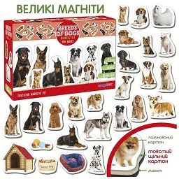 Дитячий розвиваючий набір магнітів Magdum Породи собак 24 шт. ML4031-20EN  - мініатюра 2