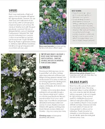 Grow Roses. Essential Know-how and Expert Advice for Gardening Success - мініатюра 8