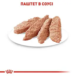 Набір вологого корму для дорослих стерилізованих кішок Royal Canin Sterilised Loaf паштет 1.02 кг (12 шт. х 85 г) - мініатюра 4