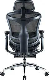 Офісне крісло Sihoo DORO C300 Pro Mesh Black with footrest (DORO-C300-PRO-M101-JT) - мініатюра 2