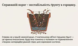 Біочар IDEALE для кімнатних рослин та розсади 1,5 л - мініатюра 8