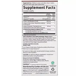 Дитячий комплекс для уваги і концентрації Garden of Life Dr. Formulated Brain Health 60 жувальних таблеток смак кавуна - мініатюра 2