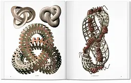 M.C. Escher. The Graphic Work - мініатюра 5