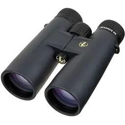 Бінокль Leupold BX-1 McKenzie 12x50 Roof темно-сірий