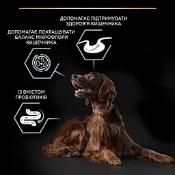 Сухий корм для дорослих собак великих порід з чутливим травленням Purina Pro Plan Large Athletic, з ягням, 14 кг - мініатюра 7