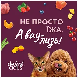 Вологий корм для кішок Delickcious Суп з курки з шинкою та додаванням шпинату 80 г (4820269141599) - мініатюра 9