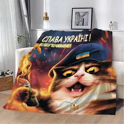 Плед плюшевий патріотичний 3D Котяча Революція 160х200 см