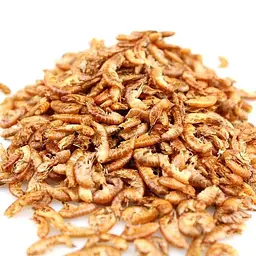 Корм для риб та черепах EcoFood Гаммарус 25 г 2568 - мініатюра 2