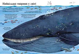 Велика книга тварин - Гейзел Маскелл - мініатюра 5