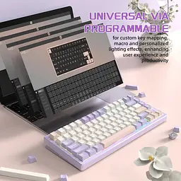 Клавіатура Attack Shark X75 RGB перемикачі Kailh MX сутінково-фіолетова (AS-6972792471464-TP-UA) [166745] - мініатюра 6