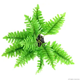 Штучна рослина, папороть Repti-Zoo Tropical Fern 22см (TP015) - мініатюра 2