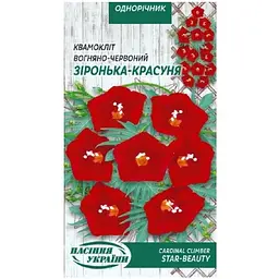 Насіння Квамокліт Вогняно-Червоний Насіння України Зірка-красуня 0.5 г (786400)