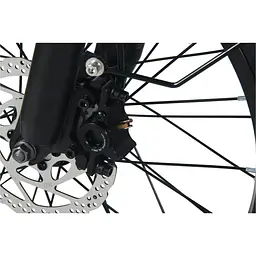 Електровелосипед Tecros F2 48 V 20 Ah 750 W [130928] - мініатюра 6