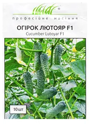 Насіння огірка Лютояр F1 10 шт (Професійне насіння)
