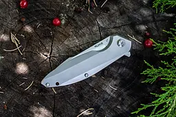 Ніж складаний Ruike P128-SF - мініатюра 8