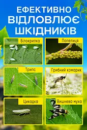 Жовті клейові пастки від білокрилки та інших шкідників 10 шт - мініатюра 4