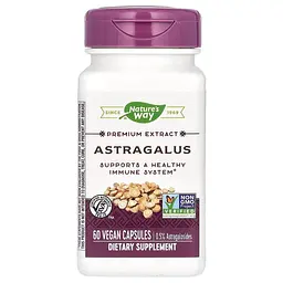 Екстракт кореня астрагалу Nature's Way Astragalus, 60 вегакапсул для підтримки імунної системи