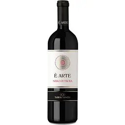 Вино Torrevento E'Arte Nero di Troja червоне сухе 0.75 л