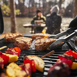 Гриль газовий Weber Traveler Compact Portable чорний (1500527) - мініатюра 6