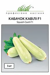 Насіння кабачка Кавілі F1 5 шт (Професійне насіння)