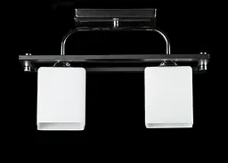 Стельова люстра зі скляним плафоном Splendid-Ray 30-4004-03