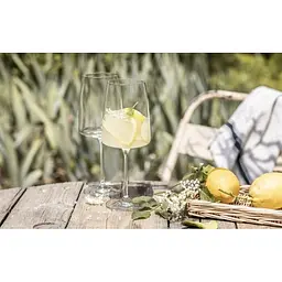 Келих для вина Schott Zwiesel Fruity & Delicate Vivid Senses 535 мл (122427) - мініатюра 6