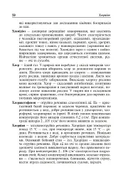 Цивільний захист України. Короткий словник-довідник - Ярослав-Яків Бедрій - мініатюра 6