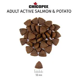 Сухий корм Chicopee (Чикопі) HNL Active Salmon & Potato 2 кг для собак усіх порід з лососем і картоплею - мініатюра 2