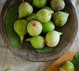 Саджанець Agro-Market Інжир Закавказький зелений (25966) 1 шт. в упаковці - мініатюра 2
