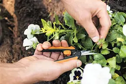 Ножиці Fiskars Solid Micro-Tip SP13 для мікрообрізки (1051600) - мініатюра 8