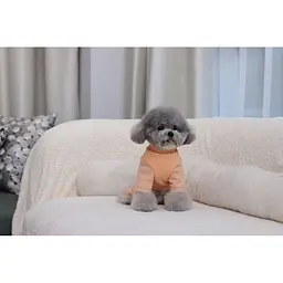 Трикотажний костюм для собак у смужку, помаранчевий M Cheepet zoo0005674 - мініатюра 4