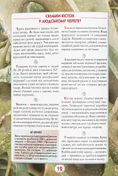 Ви маєте це знати. Тіло людини - мініатюра 5
