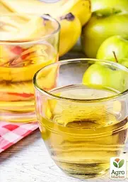 Саджанець Agro-Market Яблуня Антонівка (осінній сорт, середній термін дозрівання) 1 шт. в упаковці (25755) - мініатюра 4