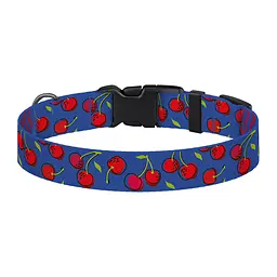 Нашийник для собак BronzeDog Urban Fruits XL - мініатюра 3