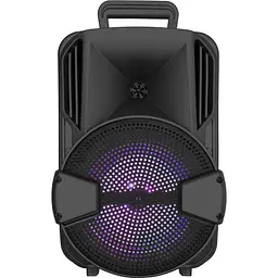 Портативна колонка BiG BLUESKY 100W два радіомікрофони караоке - мініатюра 2