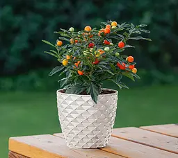 Горщик для квітів Serinova Kapadokia, 2.5 л, білий (KAP3-Beyaz) - мініатюра 3