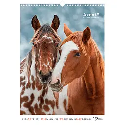 Календар настінний Axent А3 Horses 2026 рік (8804-26-3-A) - мініатюра 13