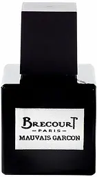 Парфумована вода Brecourt Mauvais Garcon 50 мл